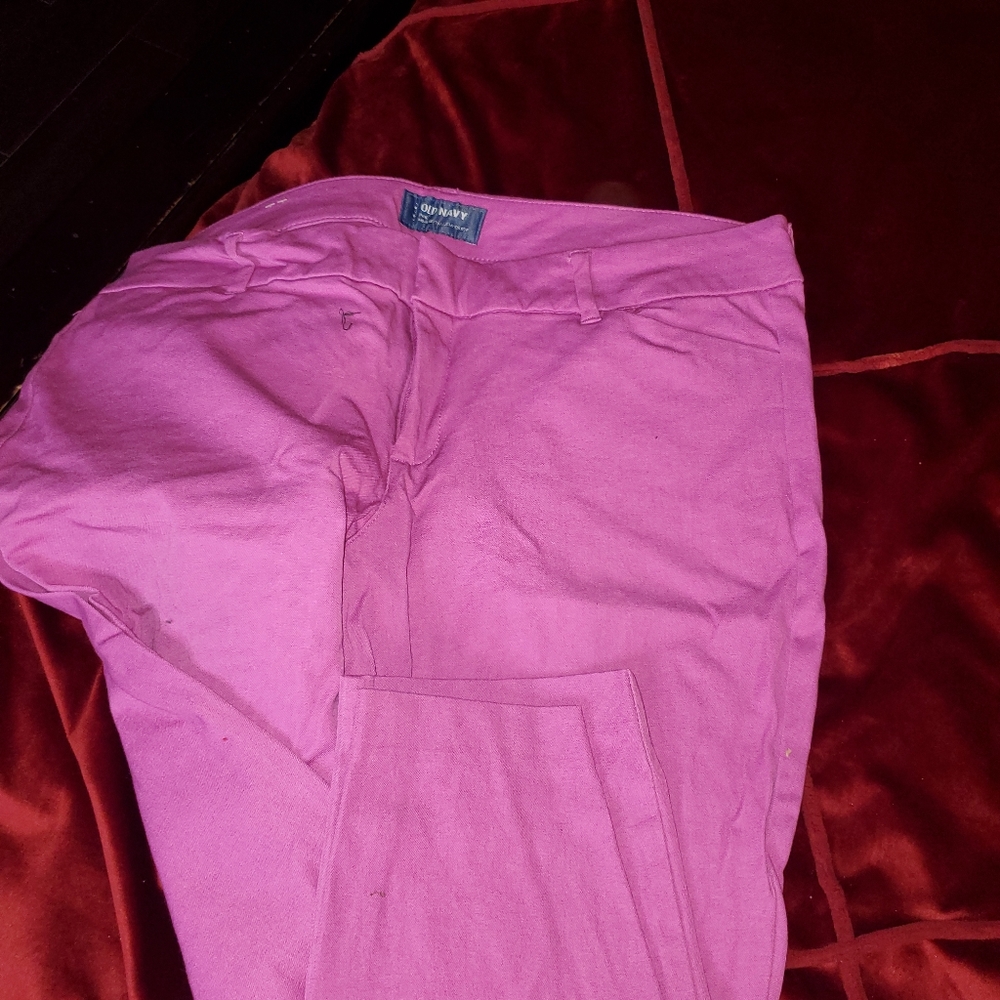 Beautiful Pinkish Lavender Pixie Pants - image 2